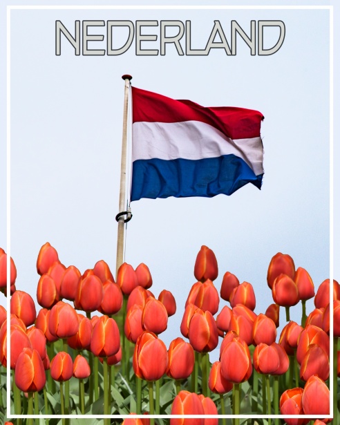 Ondersteuning voor Mensen met een Licht Verstandelijke Beperking 405735051