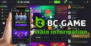Discover the Exciting BC.Game Mobile App Experience