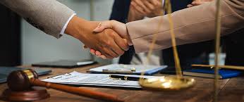 The Role and Importance of Human Rights Lawyers in Modern Society