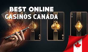 Best Live Casino in Canada Experience the Thrill from Home