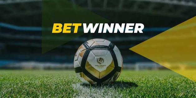 BetWinner Gambling Platform A Comprehensive Guide