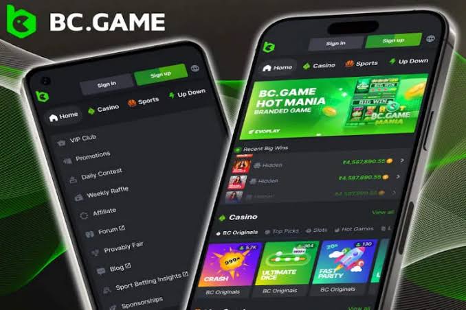 Explore the Thrills of Casino BCStavka Your Ultimate Gaming Destination