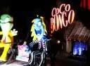 Party Punta Cana
